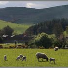 the village of westnewton in Glendale northumberland at dusk 2