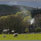 the village of westnewton in Glendale northumberland at dusk