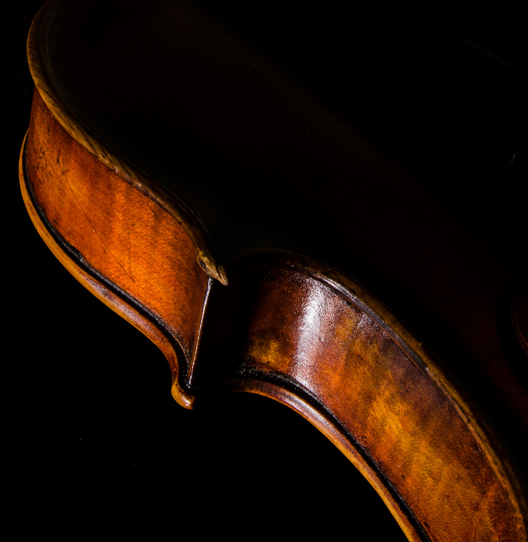 The Violin