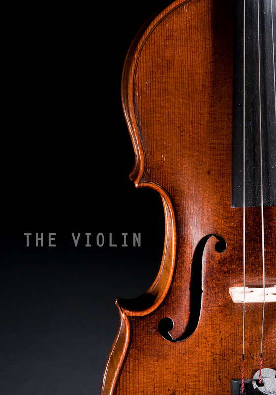 [the violin]