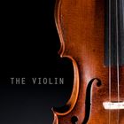 [the violin]