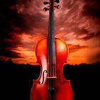 the violin