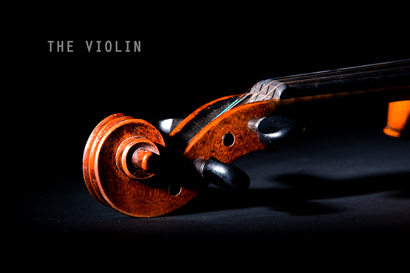 [the violin] detail