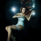 The Violinist