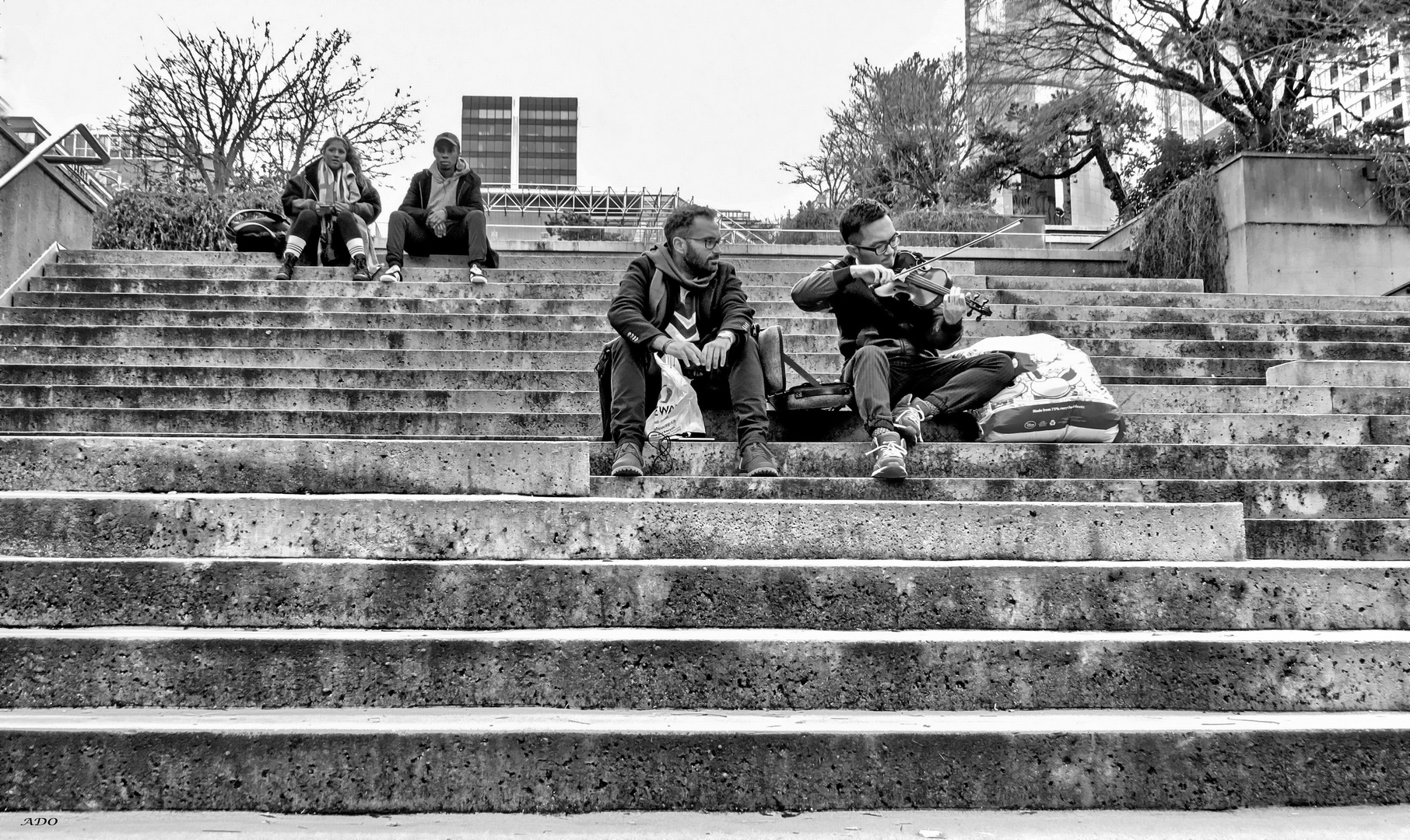 The Violinist and his Audience