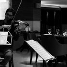 The Violinist | Soheil Shayesteh