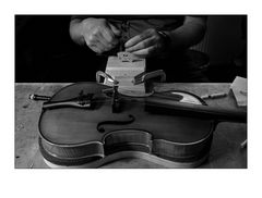 The Violinmaker #7