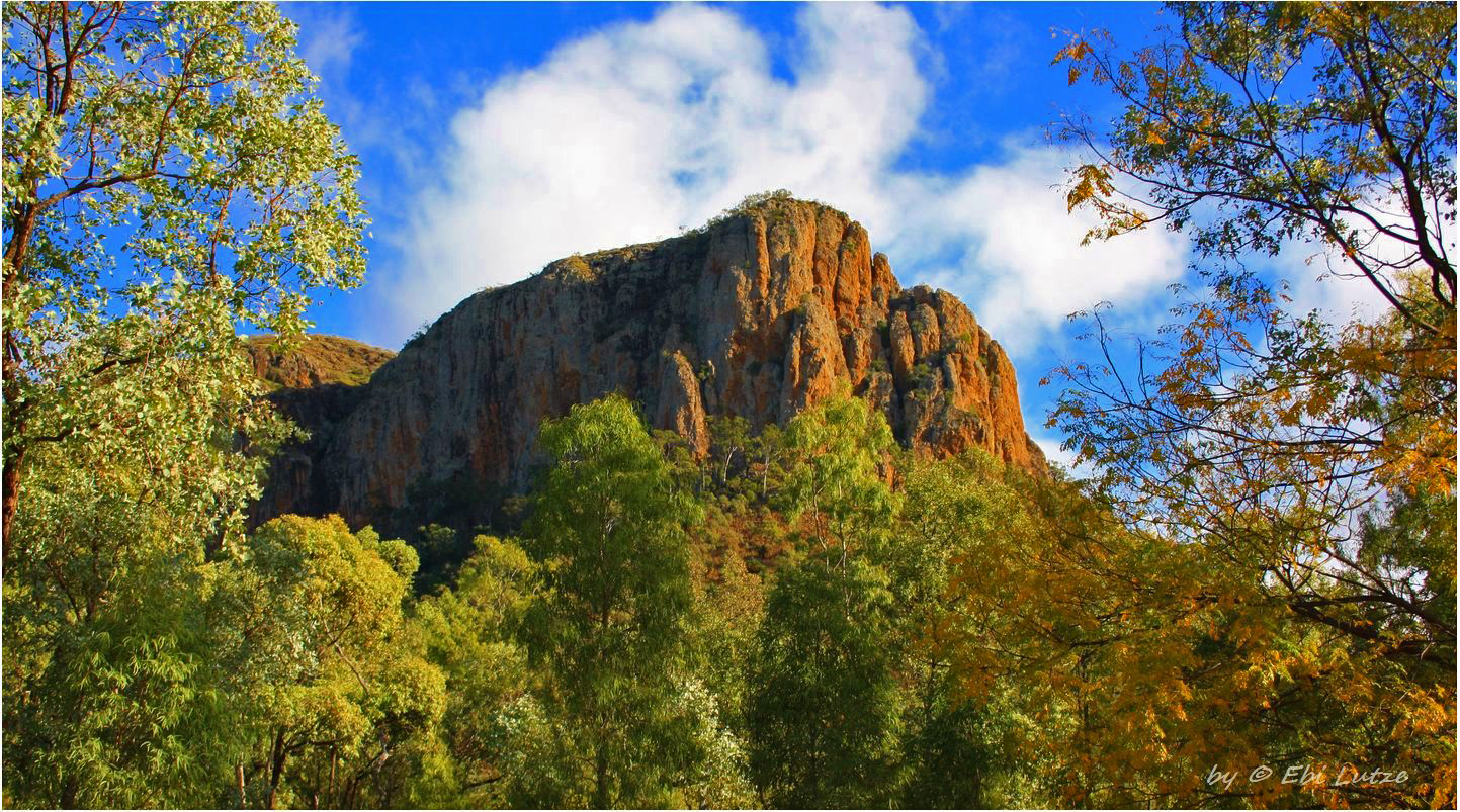 * the virgin rock / Springsure Qld. *