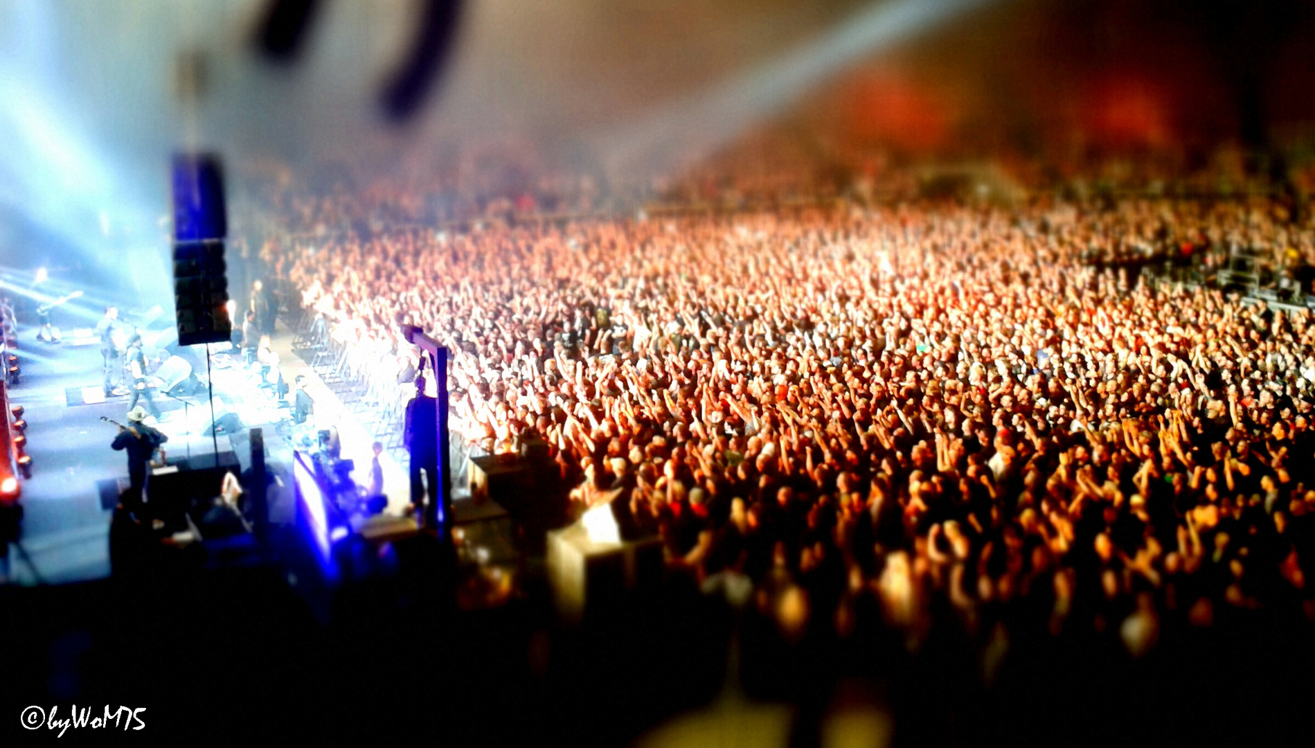 The VOLBEAT Crowd