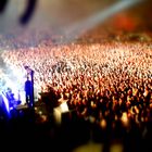 The VOLBEAT Crowd