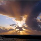 The Wadden Sea