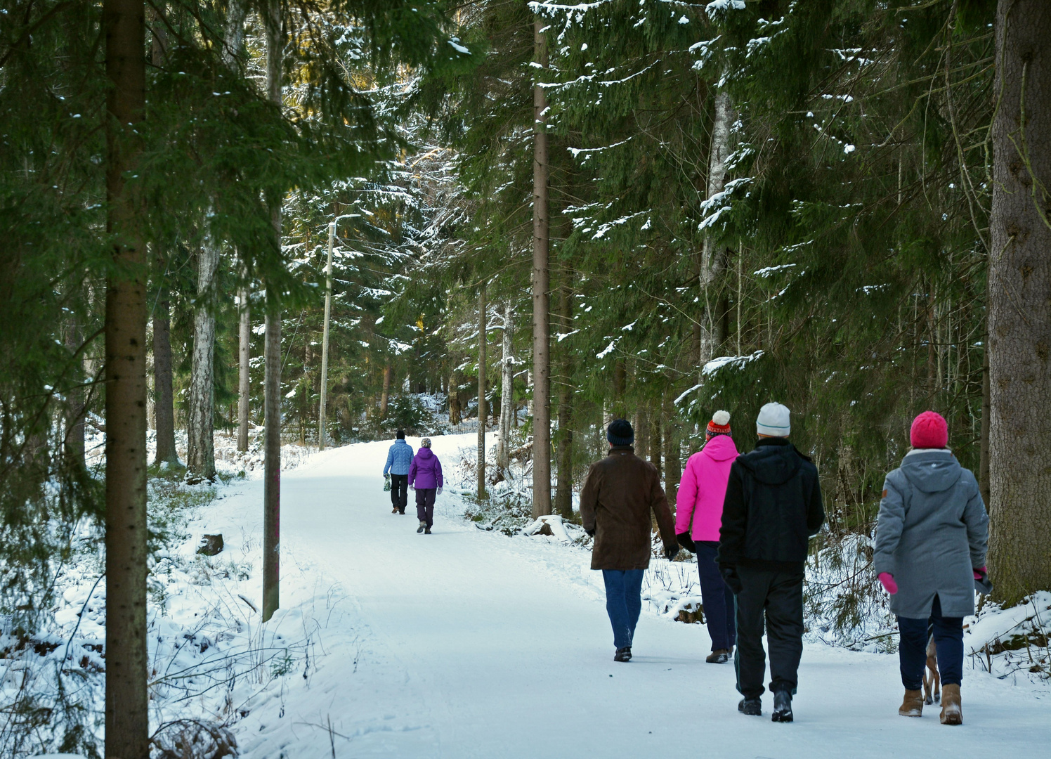 The walkers on Central park of Helsinki