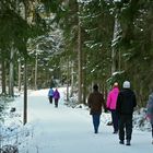 The walkers on Central park of Helsinki