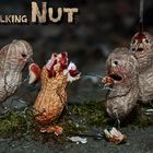 The Walking Nut
