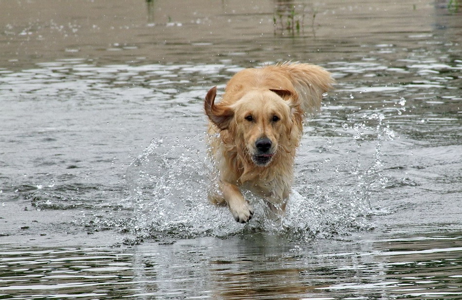 The walking on water ...