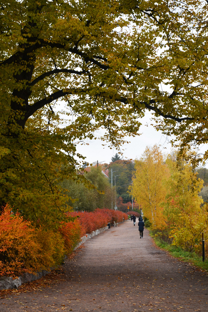 The walking way arraund the Töölö bay