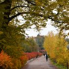 The walking way arraund the Töölö bay