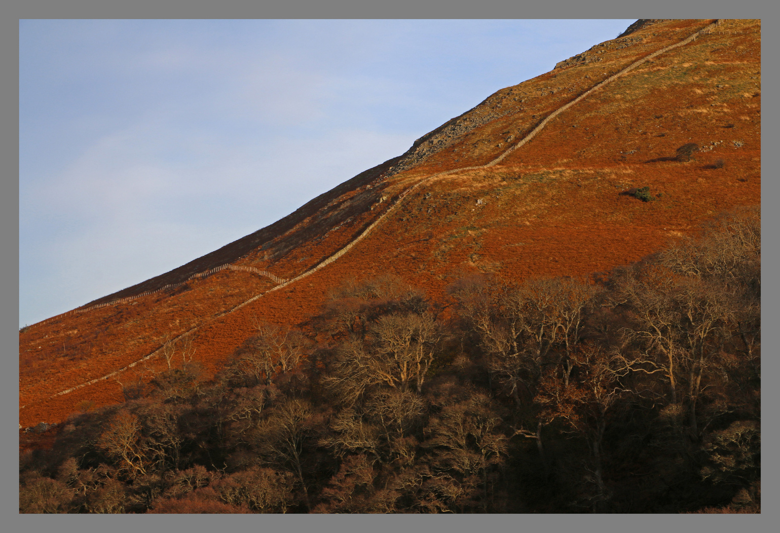 the wall up wester tor 3