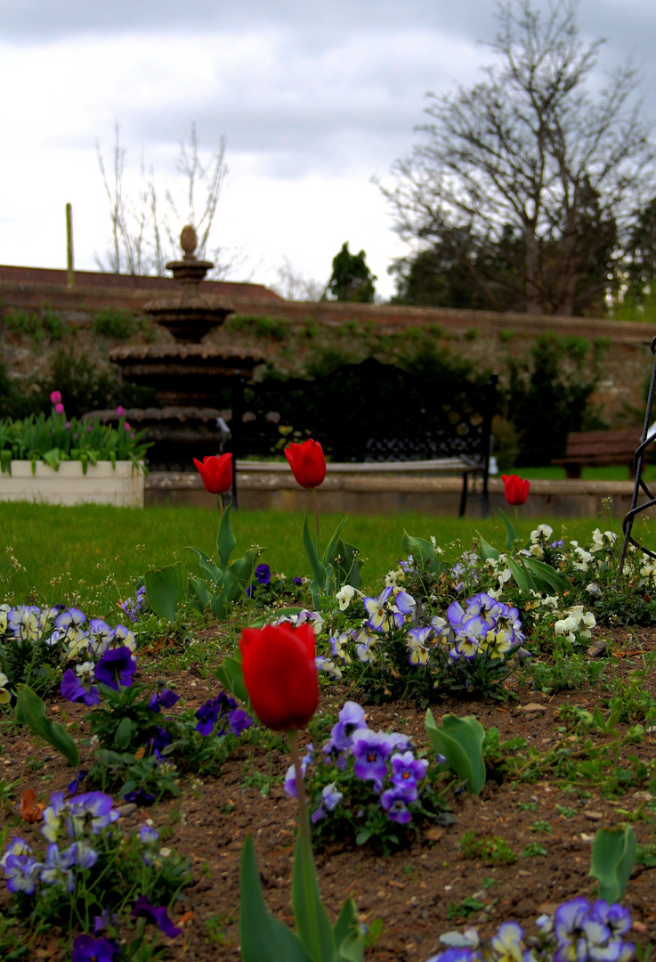 The Walled Garden