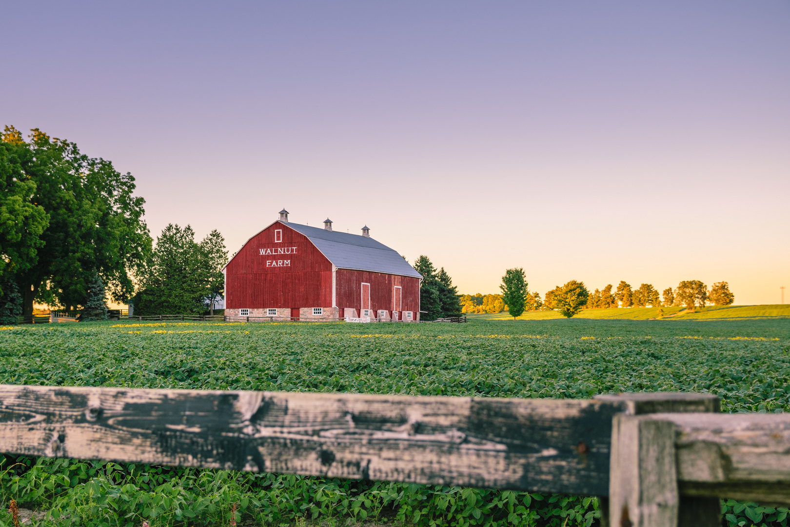 The Walnut Farm