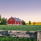 The Walnut Farm