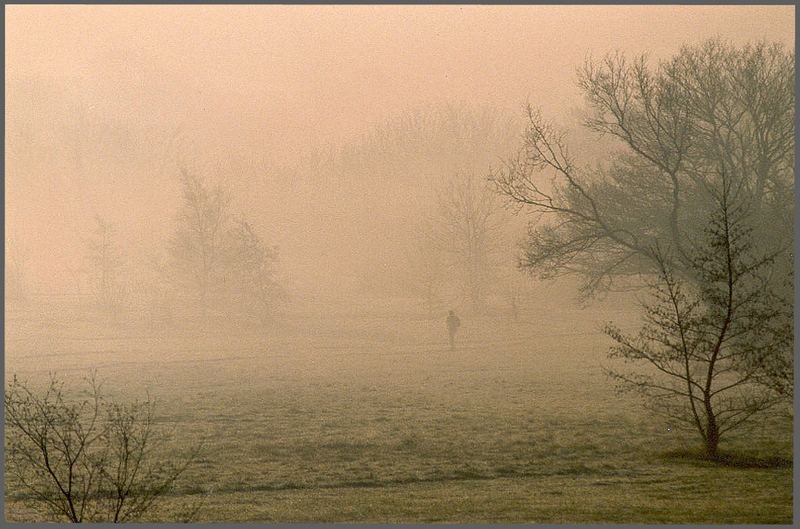 The Wanderer oder Misty Canterbury