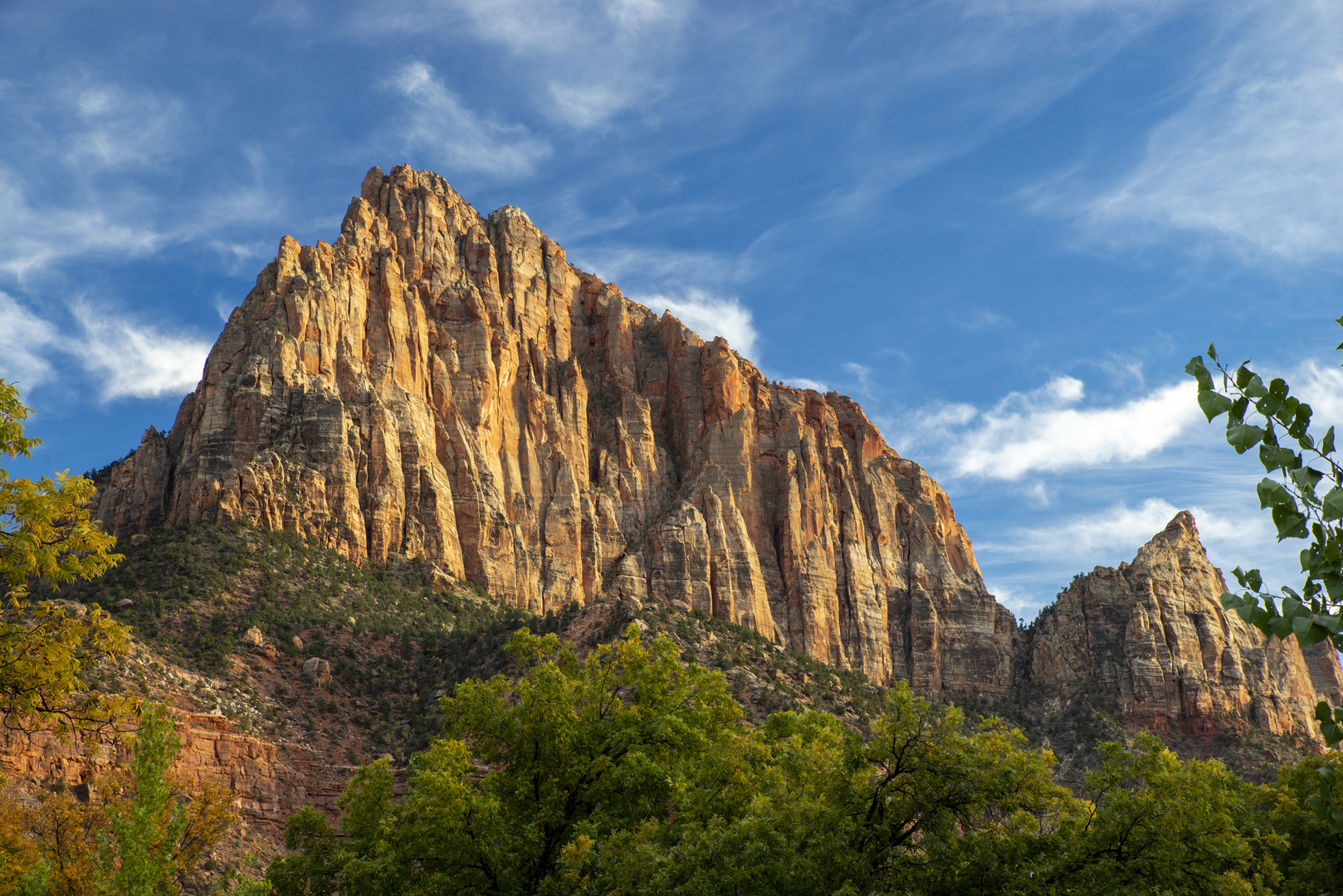 The Watchman