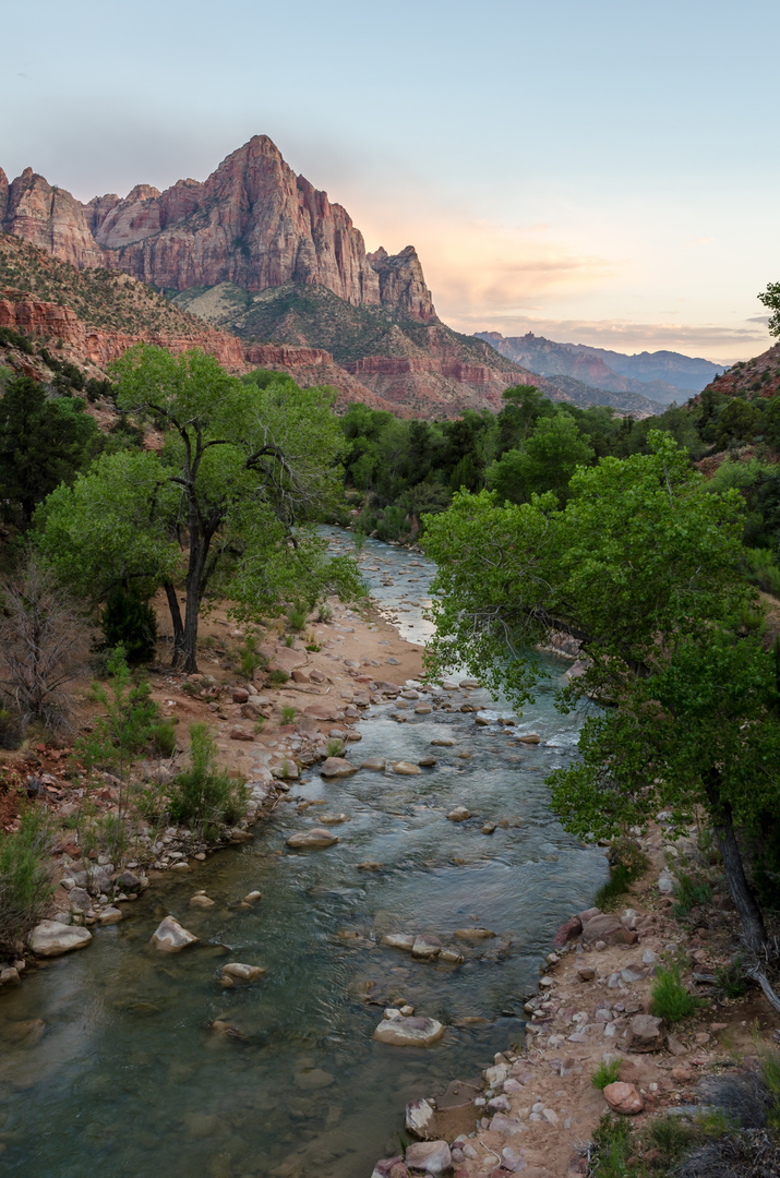 The Watchman