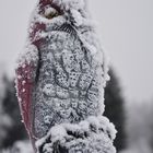 The watchman on garden plot at winter