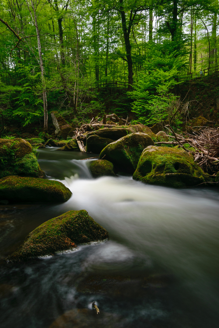 "The Waterfall" 