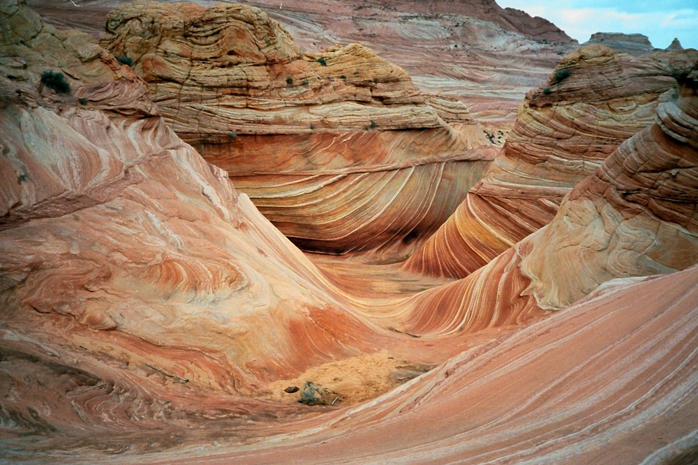 the wave Foto & Bild north america, united states, national parks Bilder auf