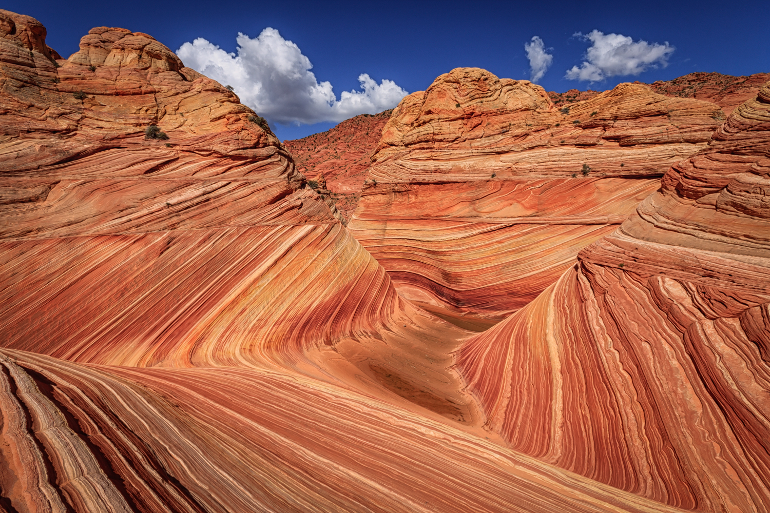 The Wave - a natural Wonder