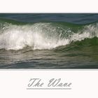 The Wave