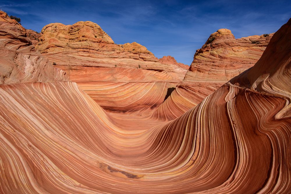 The Wave - Arizona