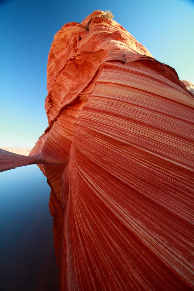 The Wave Foto & Bild north america, united states, utah Bilder auf