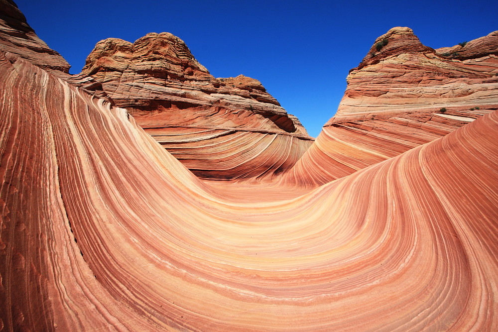 The Wave - Coyote Buttes North