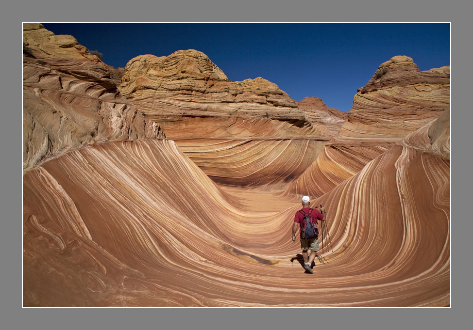 The Wave (Coyote Buttes North)