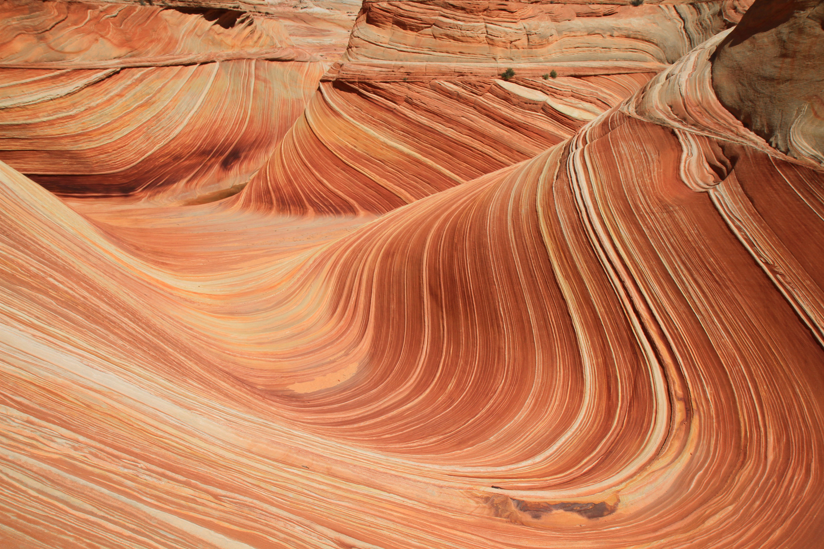 The Wave - Coyote Buttes North, Utah/Arizona