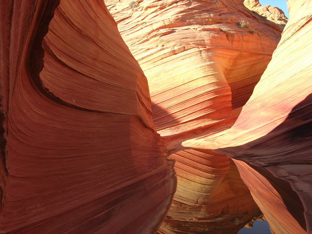 the wave coyote buttes paria canyon