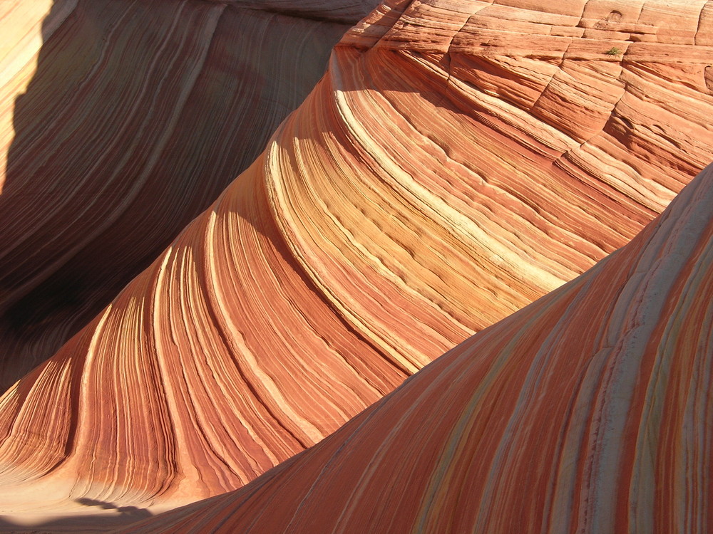 the wave, coyote buttes,paria canyon