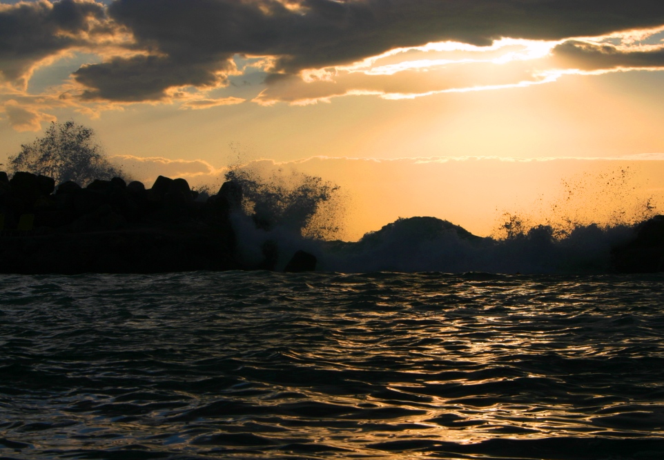 the wave von Yves Mankel 