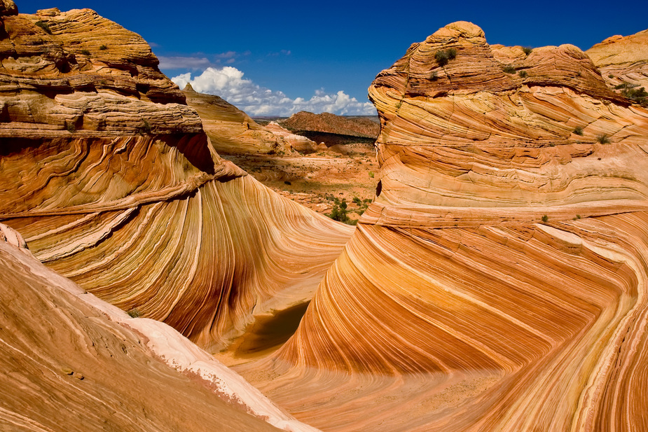 The Wave II - Paria Canyon / Vermillion Cliffs N.M. - Utah - USA