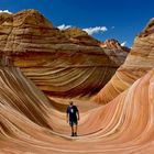 The Wave - Paria Canyon / Vermillion Cliffs N.M. - Utah - USA