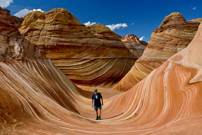 The Wave - Paria Canyon / Vermillion Cliffs N.M. - Utah - USA