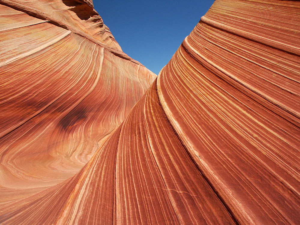 The Wave, USA