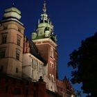 The Wawel Castle