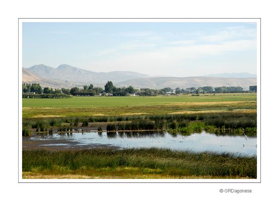 The Way Home (Reload)