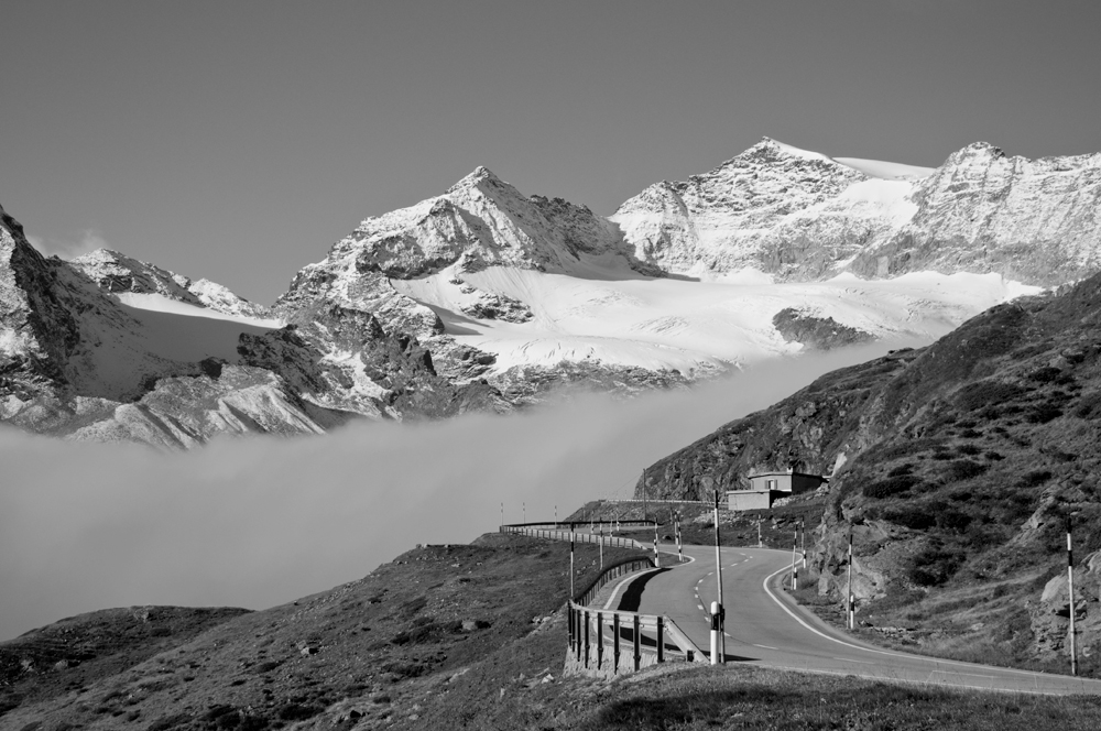 the way in to fog