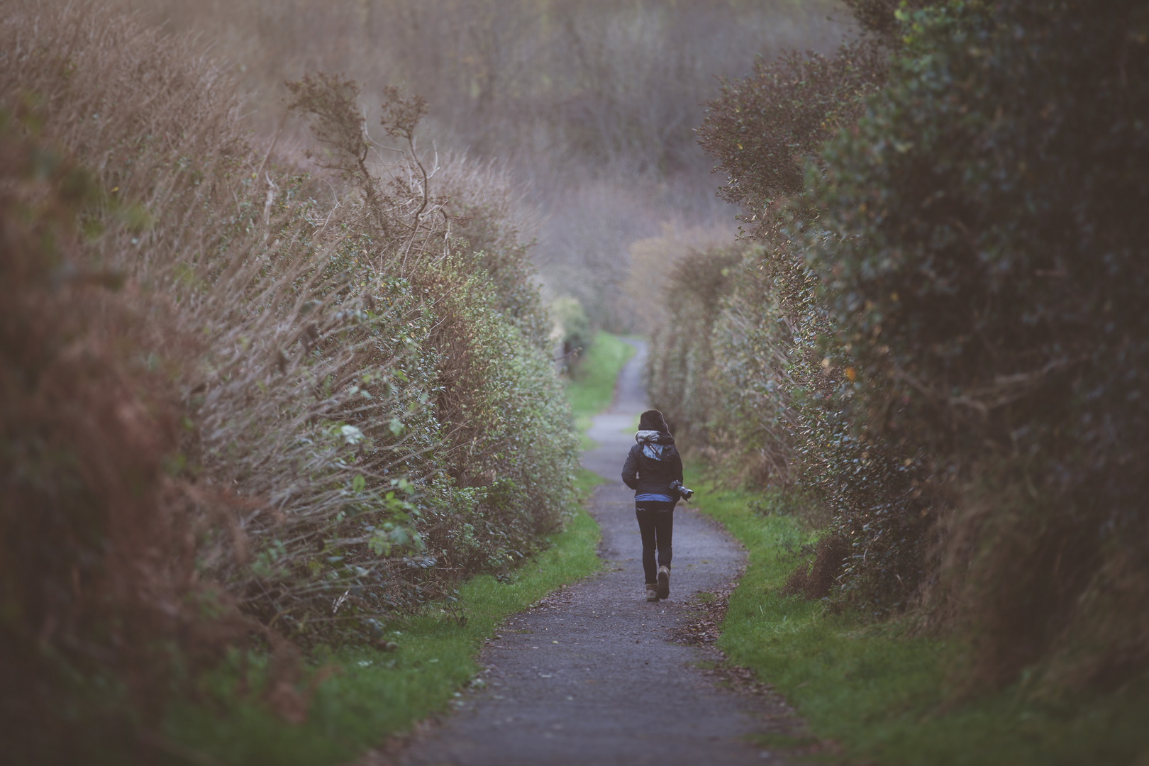 the way into - Castlerock / Northern Ireland