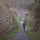 the way into - Castlerock / Northern Ireland